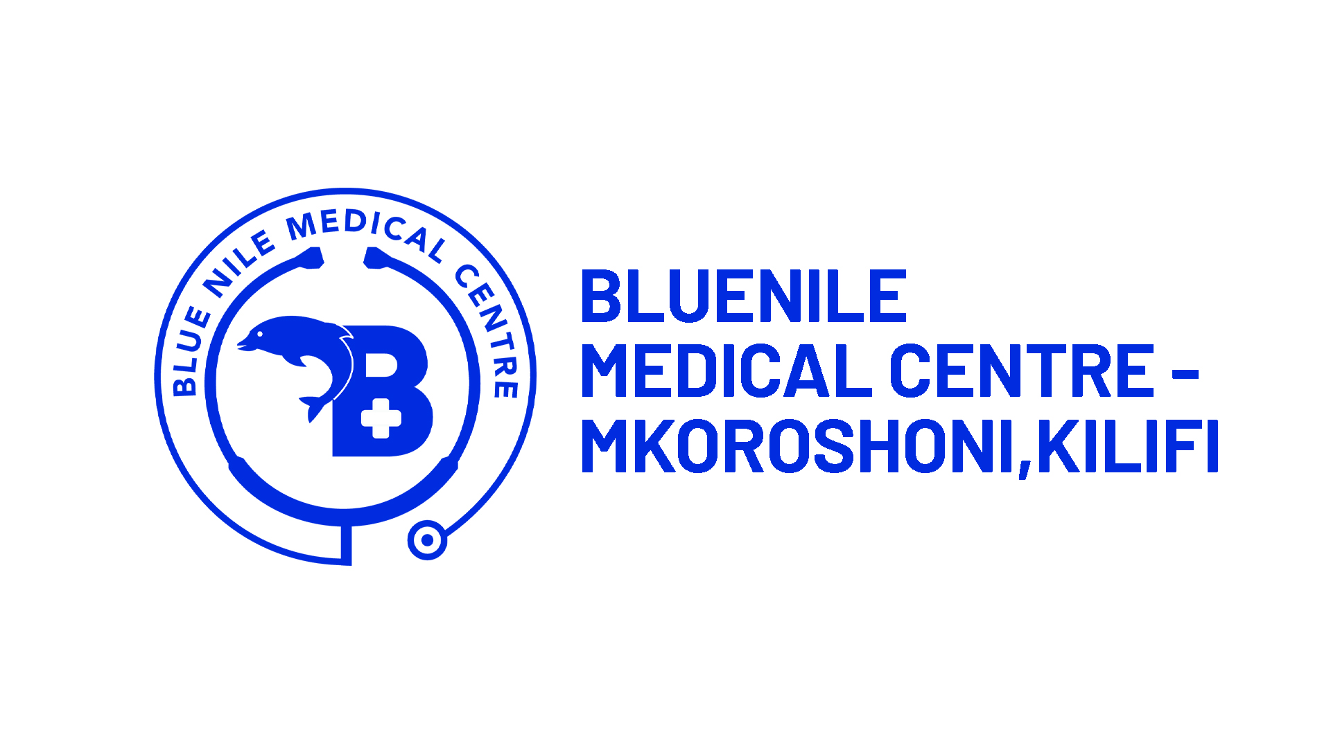Bluenile logo name