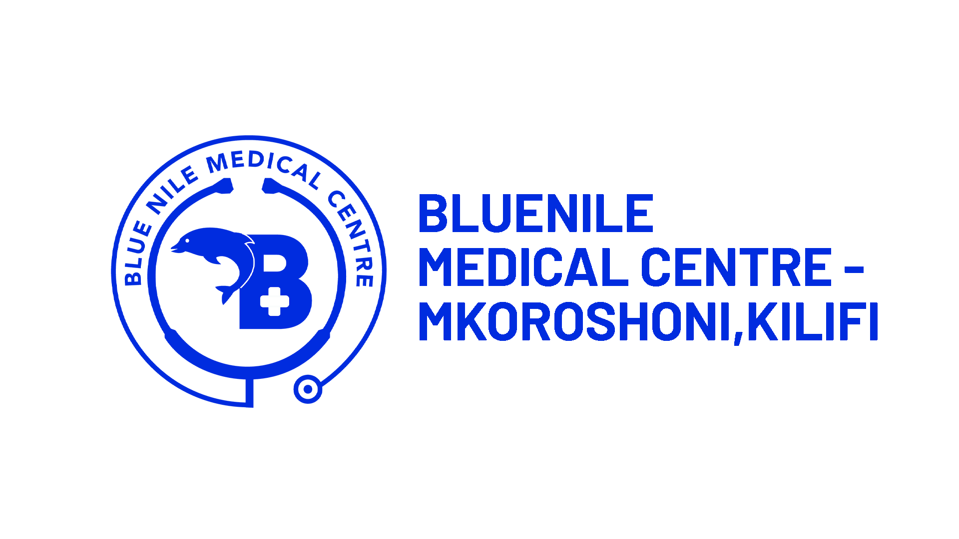 Blue Nile Medical Centre